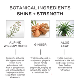 ingredients overview of Evolve nourishing repair conditioner