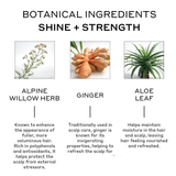 ingredients overview of Evolve nourishing repair shampoo