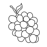 pile of grape seeds image ingredient in Zenagen hair loss products