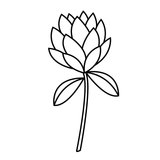 Red Clover plant image ingredient in Zenagen hair loss products