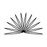 Saw Palmetto plant image ingredient in Zenagen hair loss products