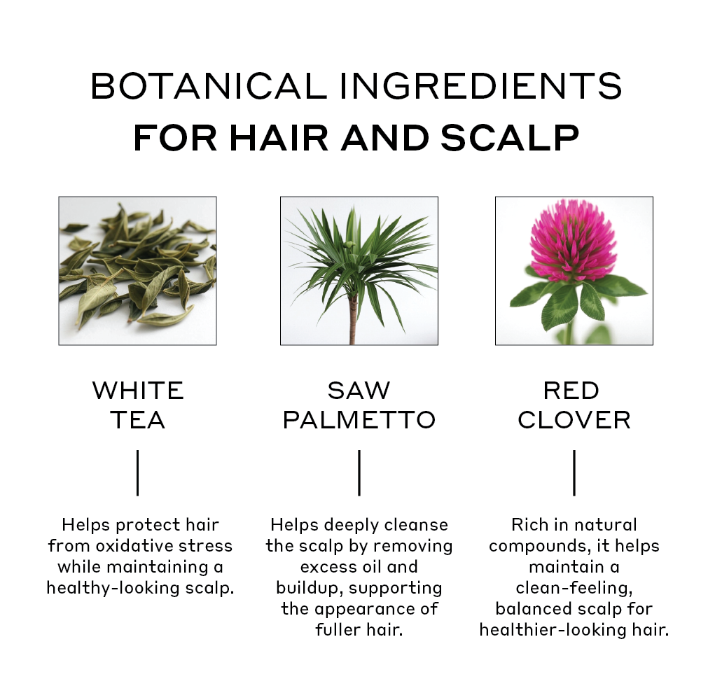 ingredients overview of zenagen thickening densifying hair serum