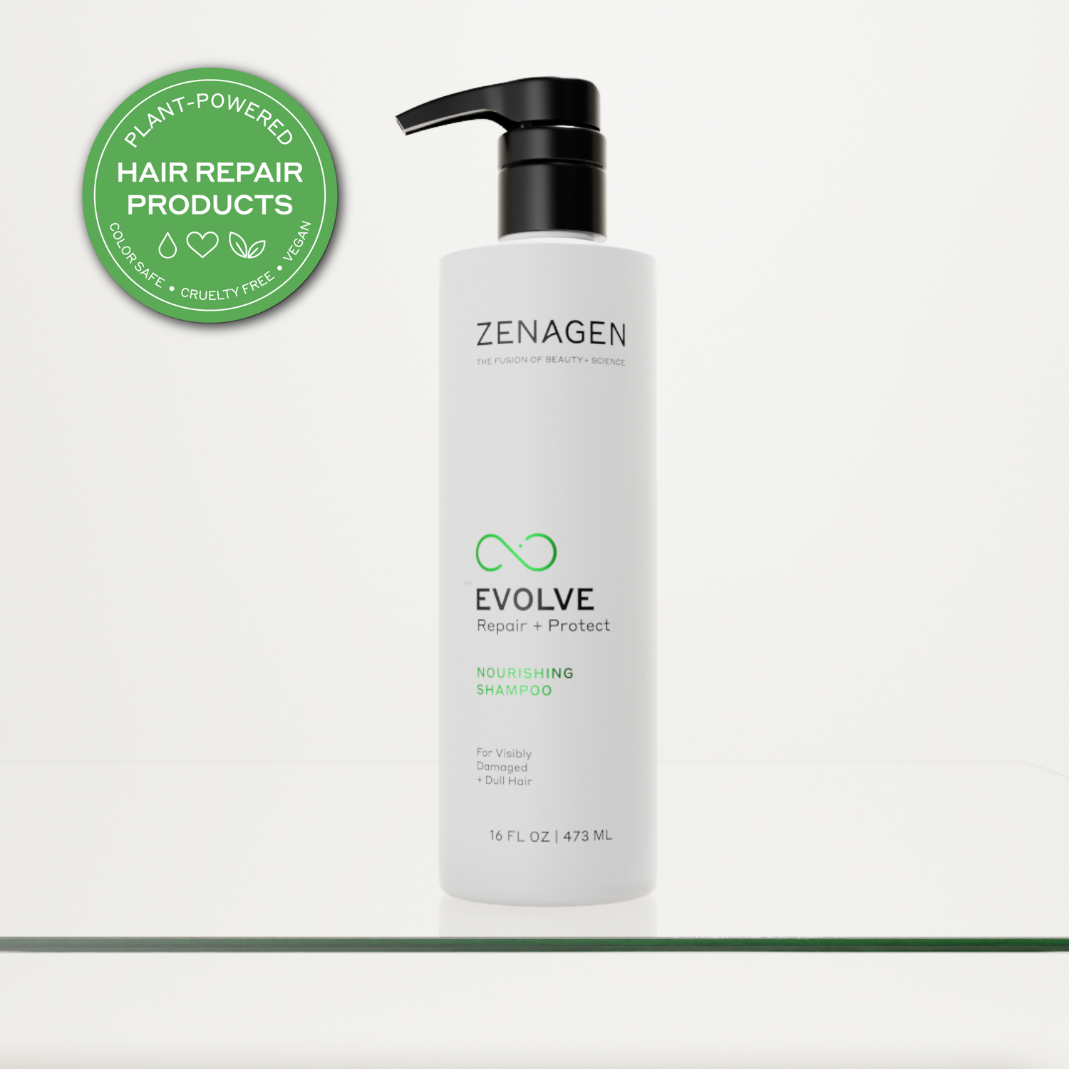 Evolve shampoo 16oz Bottle