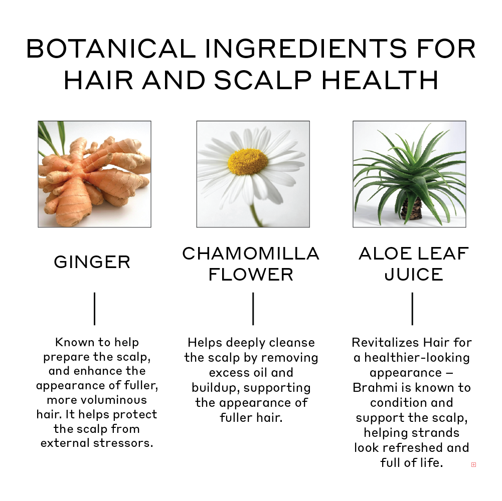 Revolve conditioner ingredients and their benefits including ginger and chamomilla flower and aloe leaf juice