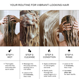 Zenagen Eclipse 4-step hair care routine infographic detailing how to wet, cleanse, condition, and rinse hair with instructions to leave the shampoo on for 3 to 5 minutes and use every other day.