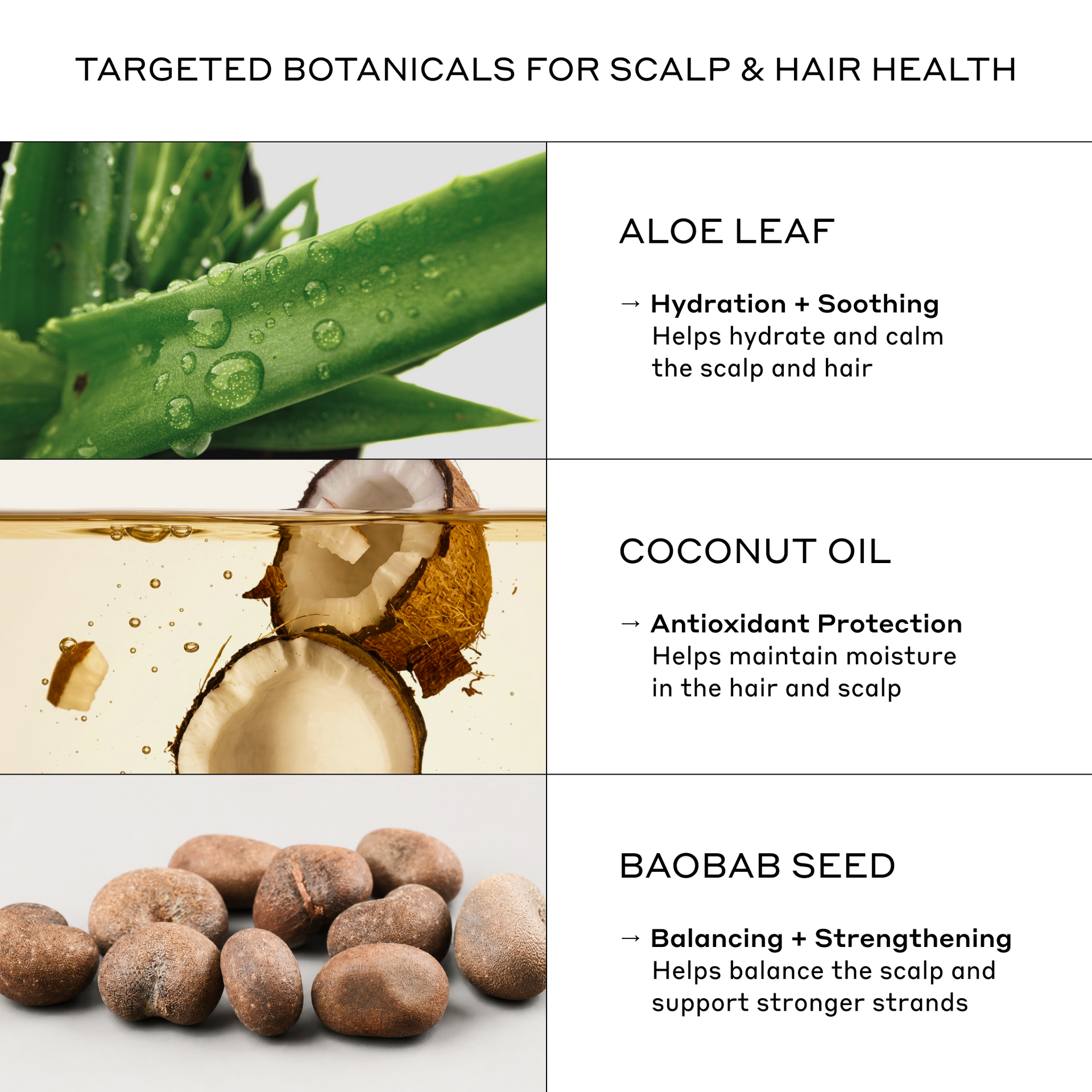 Hair Density Treatment Leave-In Cream – Zenagen