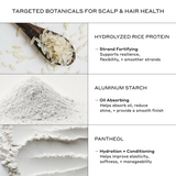 Zenagen RE:ZEN Dry Shampoo key ingredients infographic highlighting the scalp and hair health benefits of Hydrolyzed Rice Protein, Aluminum Starch, and Panthenol.