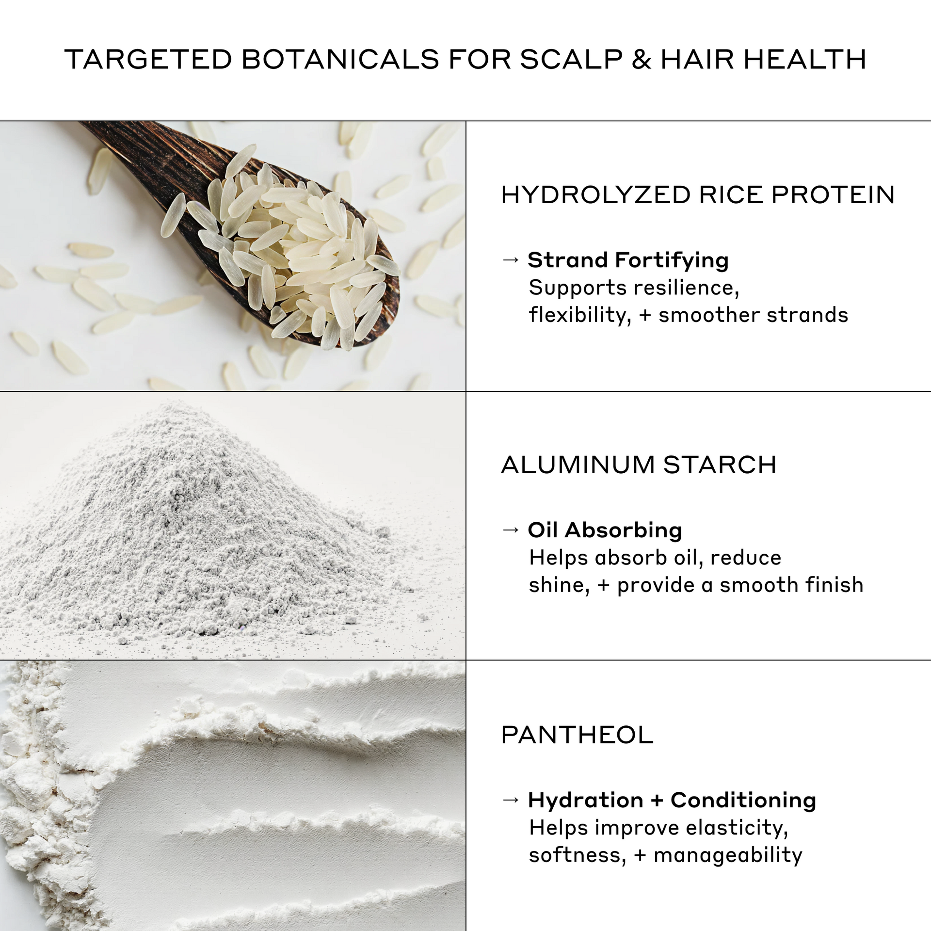 Re:Zen Dry Shampoo – Zenagen