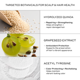 An informational graphic titled 'TARGETED BOTANICALS FOR SCALP & HAIR HEALTH' with three ingredient panels: hydrolyzed quinoa in a wooden scoop, green grapeseed extract, and a close-up of white powder, with text describing benefits for scalp and hair health.