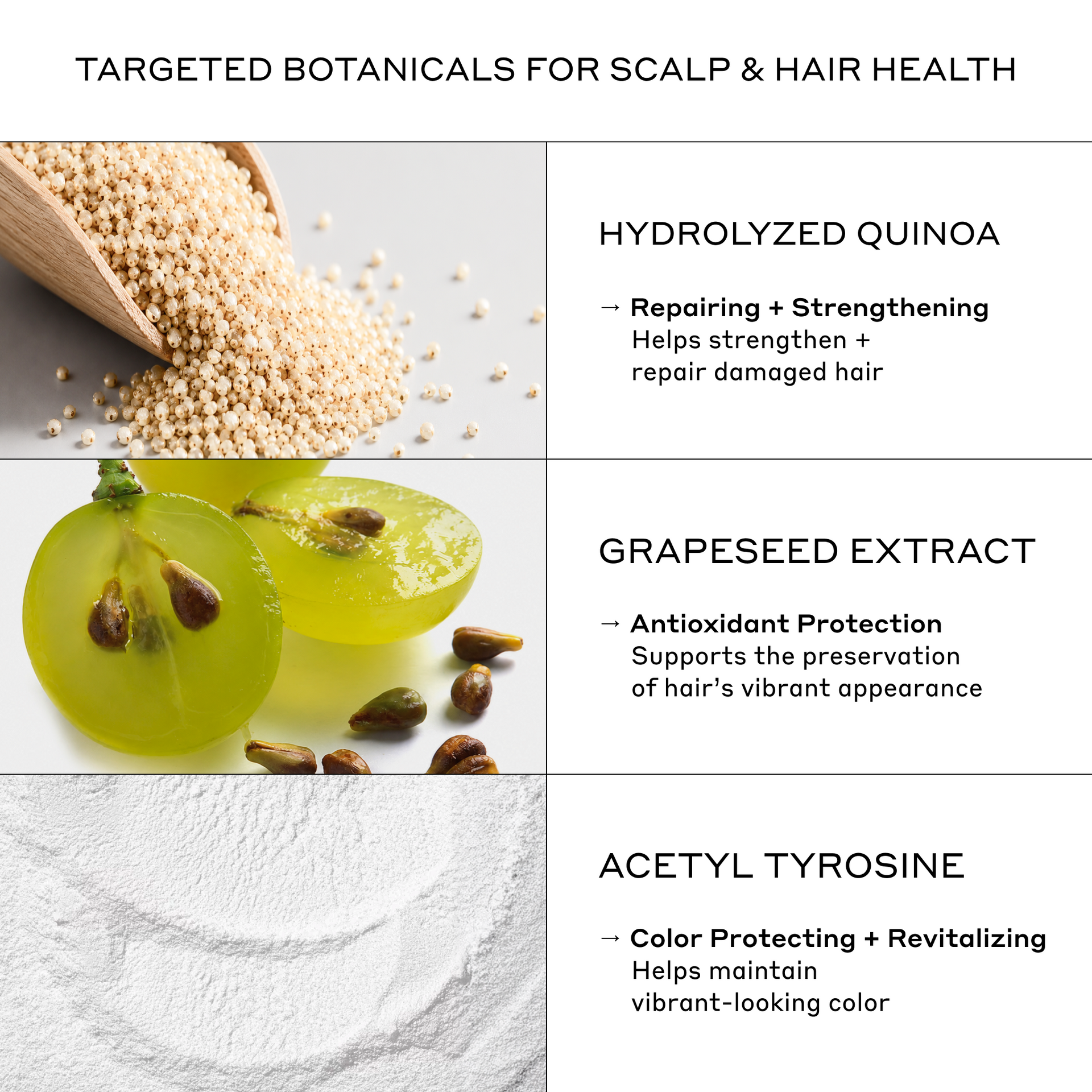 ECLIPSE Color Preservation Conditioner – Zenagen