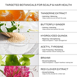 Zenagen Eclipse Trio key ingredients infographic showcasing the targeted scalp and hair health benefits of Tangerine Extract, Butterfly Ginger, Hydrolyzed Quinoa, Acetyl Tyrosine, Brahmi, and Red Clover Extract