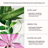 Botanical hair care ingredients including aloe vera, green tea antioxidants, and alpine willow extract for hydration, scalp comfort, hair conditioning, and stronger-looking strands.