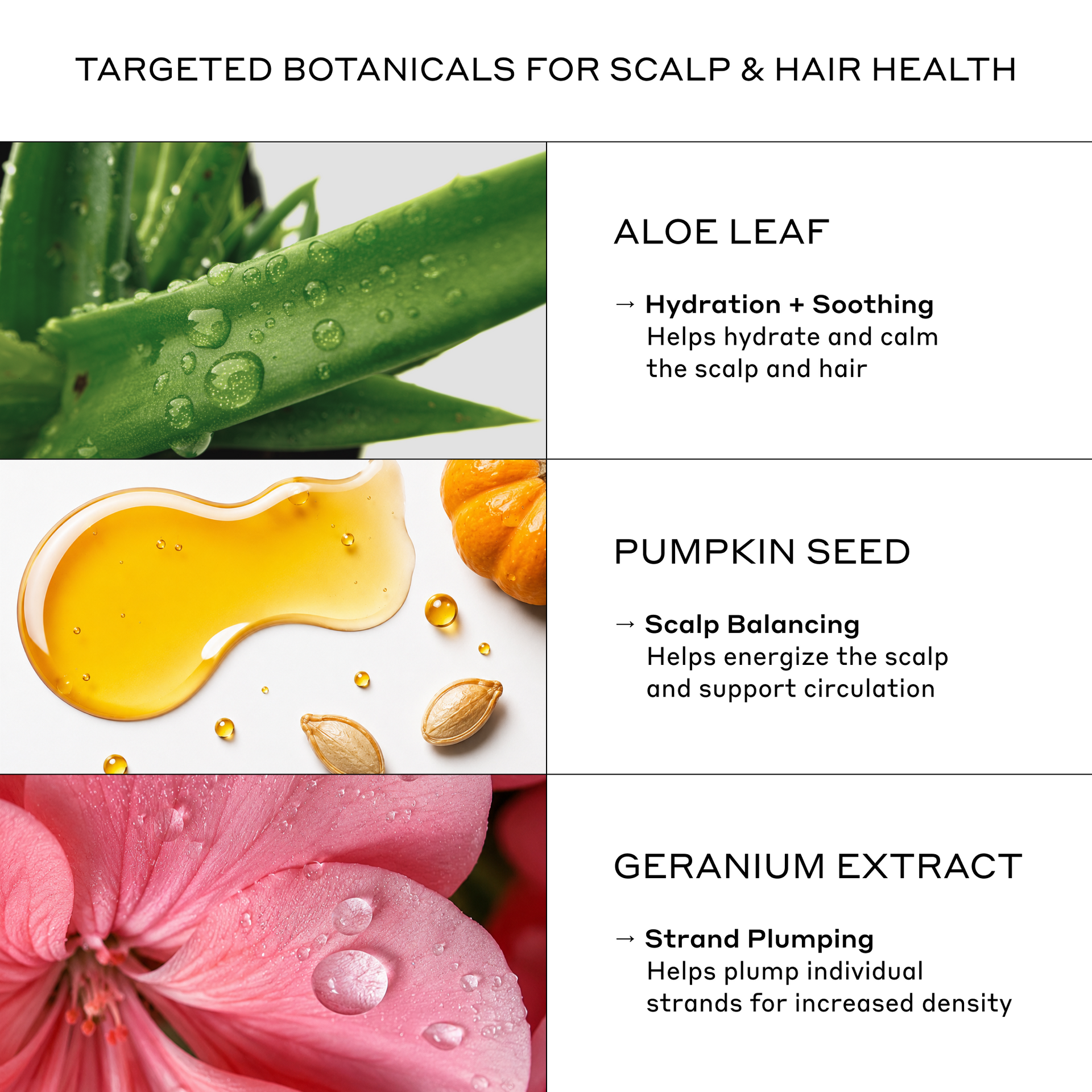Flexture Paste | Zenagen