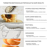 Zenagen Hydration Set key ingredients infographic highlighting the scalp, hair, and skin health benefits of Hydrolyzed Rice Protein, Sunflower Seed Oil, Panthenol, Ceramides, and Mango Seed Butter for strand fortifying, surface protection, hydration, and skin barrier moisture.