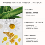 An informational graphic titled 'TARGETED BOTANICALS FOR SCALP & HAIR HEALTH' with three panels showing aloe leaf, chamomilla flower, and ginger root, plus text describing benefits for scalp and hair health.
