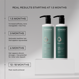 Zenagen Eclipse Shampoo and Conditioner results timeline infographic showing progress milestones from 1.5 months to peak results at 12 to 18 months for healthier, rejuvenated, and vibrant hair color preservation.