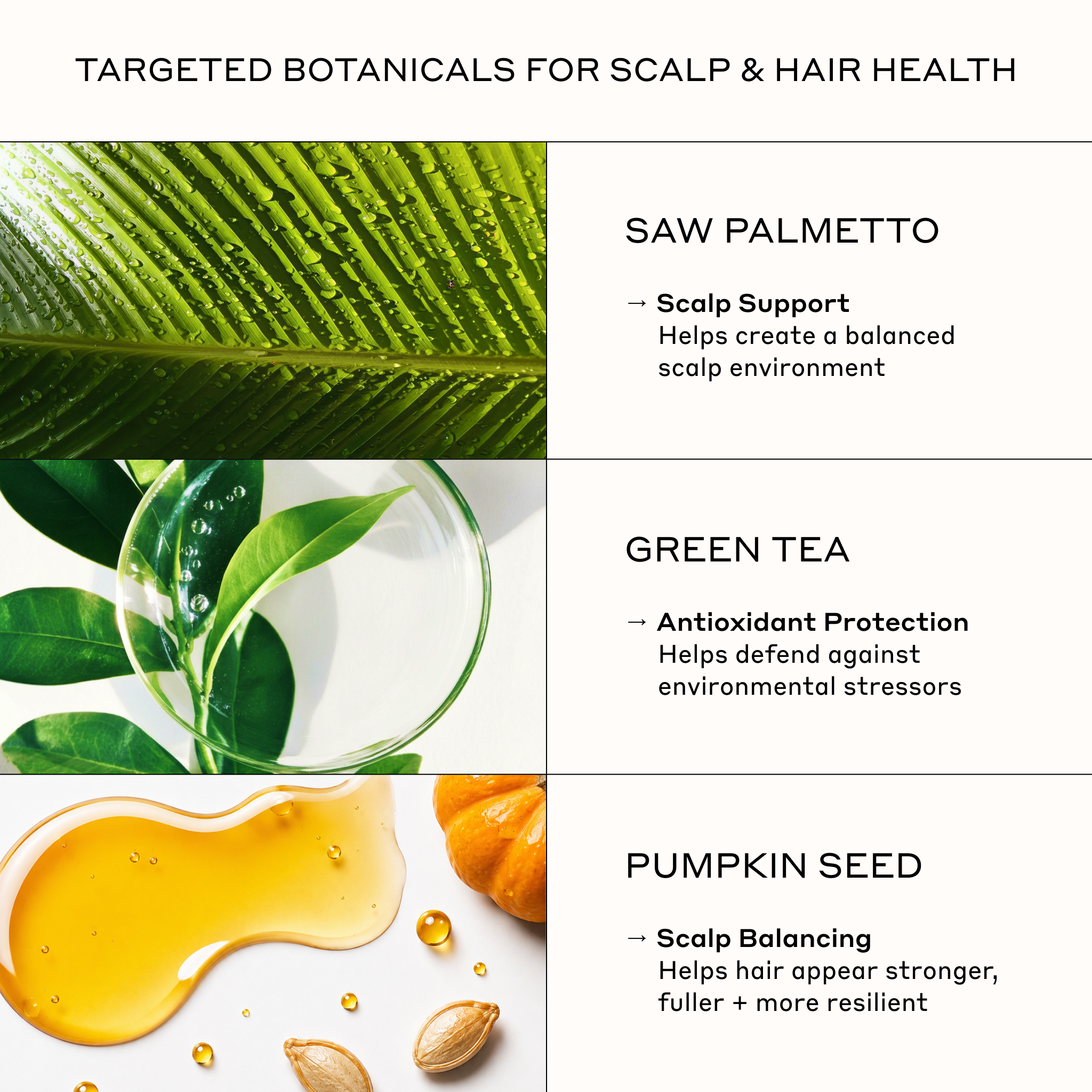Zenagen Densifying Hair Serum featuring saw palmetto, green tea, and pumpkin seed to support scalp health and fuller-looking hair.