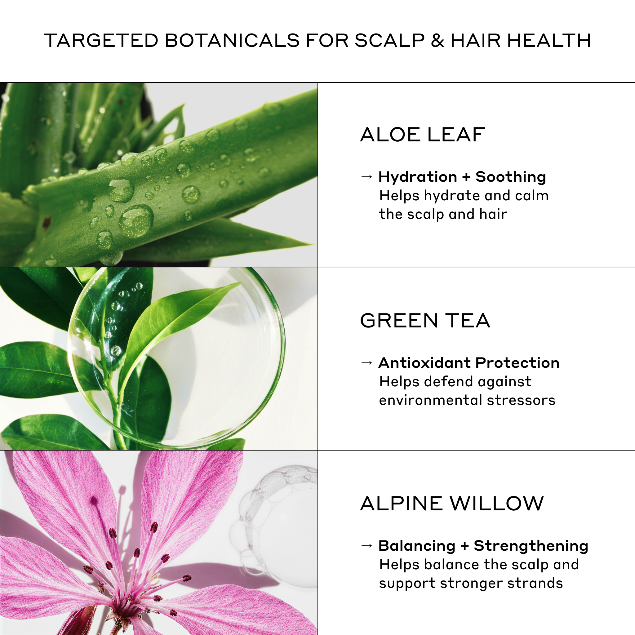 Zenagen Evolve Nourishing Conditioner with aloe leaf, green tea extract, and alpine willow to support hydration, scalp comfort, and stronger-looking hair.