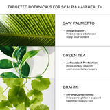 Zenagen Revolve Men's Shampoo ingredients including saw palmetto, green tea extract, and brahmi to support scalp health, hair conditioning, and fuller-looking hair.